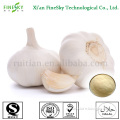 top quality natural garlic extract powder for animal feed additive